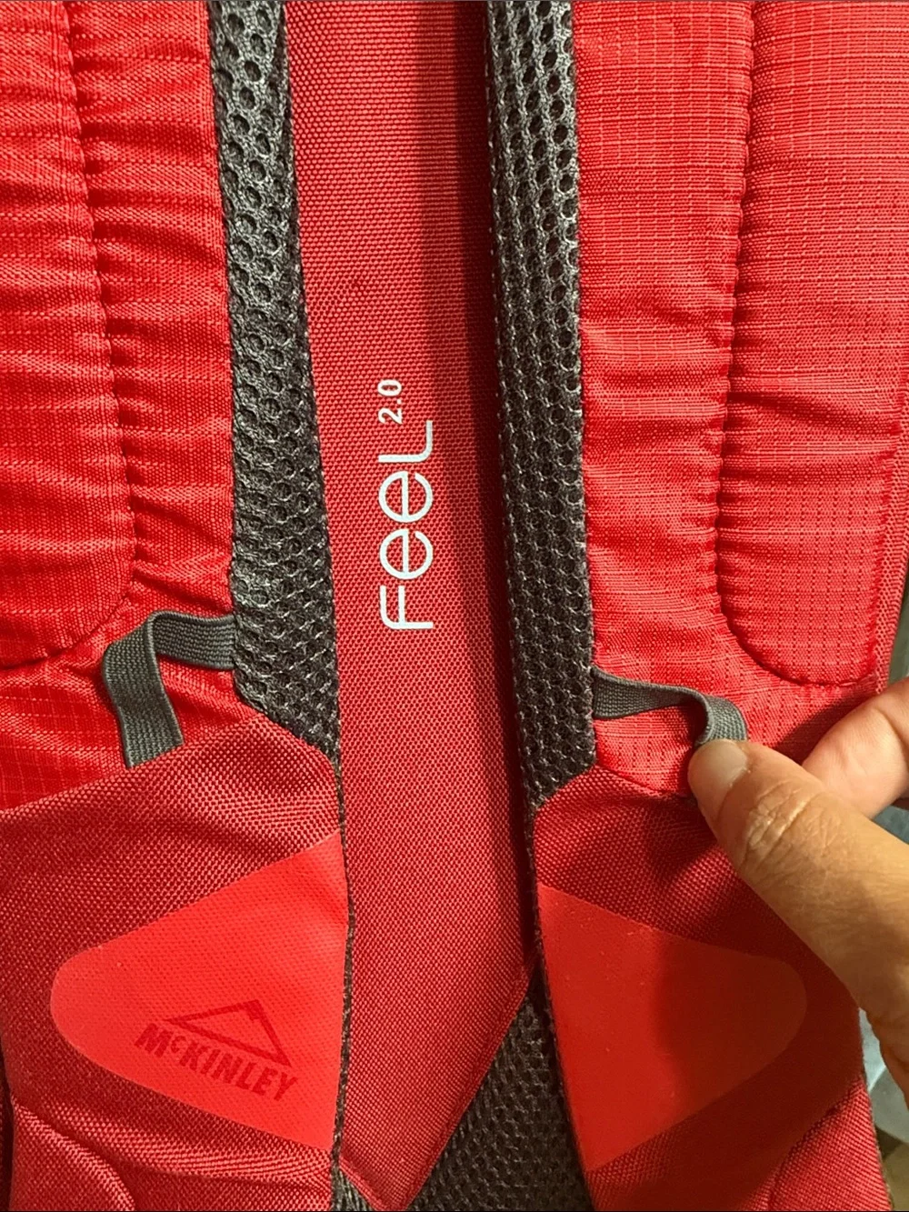 Mckinley daypack featuring